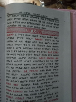 የዳዊት ገቢር.pdf